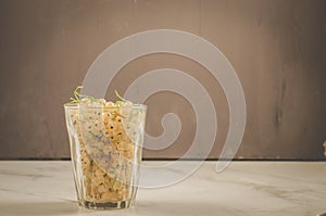 Full glass of currant/full glass of currant on a dark background, selective focus and copy space