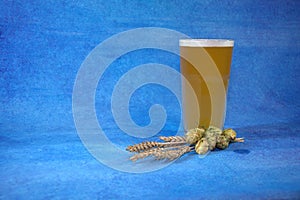 Full glass of light beer with foam, hops and ears on a blue abstract background