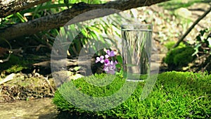 Full glass of water standing on mossy rock with a small flower. Spring stream in soft focus on background. Pure