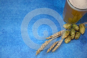 A full glass of wheat beer with foam, next to ears of corn and hops