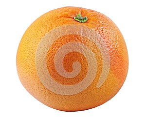Full grapefruit with green tail on white background