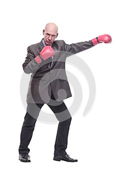 in full growth. business man in Boxing gloves.