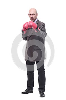 in full growth. business man in Boxing gloves.