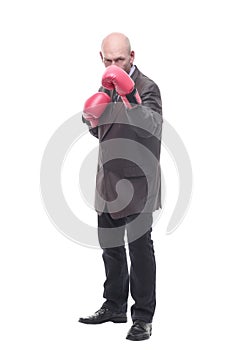 in full growth. business man in Boxing gloves.