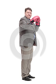 in full growth. serious business man in Boxing gloves.