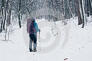 Full growth young girl with backpack from the back in the winter forest