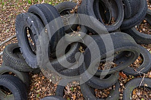 Full hull trunk Truckload of old used vintage car tyres wheels heap pile waste with some leaf