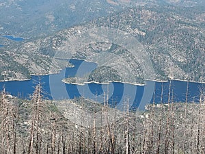 Full lake, dead trees