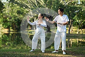 Full length Asian senior couple doing Tai Chi exercises in the park. Mental health and retired lifestyle concept.