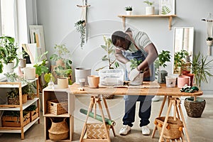 Full length black man as male gardener repotting plants indoors at wooden table