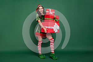 Full length body size view of pretty cheerful girl elf bringing carrying heavy gifts  over green color