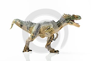 Full length close up image of an Allosaurus plastic figurine on white background