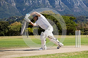 Full length of cricketer playing on field photo