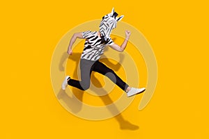 Full length photo of excited anthropomorphic zebra jump up raise fists win discount shopping isolated over yellow color