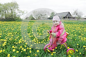 Full length portrait of little girl driving pink and yellow cycle across the spring blossoming dandelions meadow