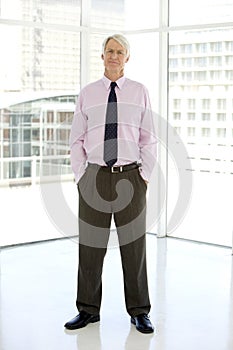 Full length portrait of a Senior businessman