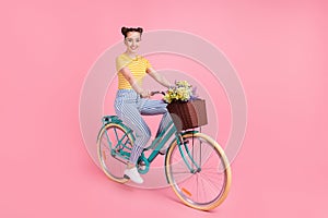 Full length profile photo of adorable girl sit on bicycle flowers in basket isolated on pink color background