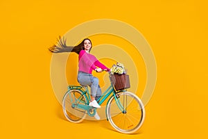 Full length profile photo of pretty girl ride bicycle flowers basket wind blow hair wear pink sweater jeans isolated
