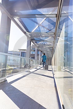 Full length rear view of african american businessman walking with luggage at airport corridor