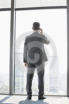 Full length rear view of mature businessman using cell phone white standing near window