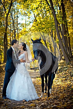 Full-length romantic wedding shot. The happy elegent couple of newlyweds is softly rubbing noses during their walk with