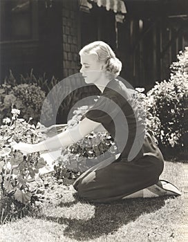 Full length side view of young woman pruning plants in garden