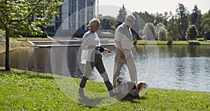 Full length view of active senior couple walking adorable dog in park