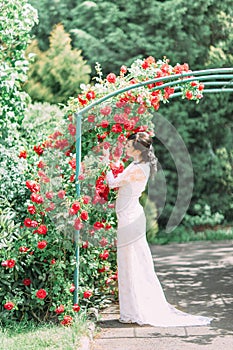 The full-length view of the bride standing inder the arch covered with red roses. She is smelling and touching flowers.