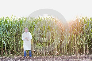 Crop scientist wearing lab coat while standing against corn plant growing in field photo