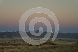 Full moon ascends over the dune in Namib desert Namibia