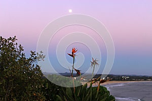 Full moon in the beach with flowers