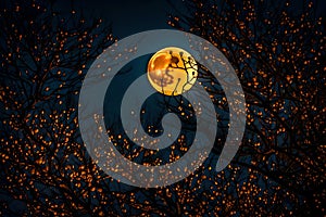 Full moon behind the glowing branches