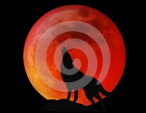 Halloween Full Moon Wolf Blood Red photo