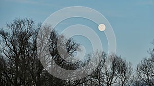 Full moon in blue winter sky