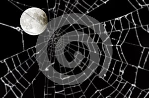 Full moon and blurred spider web