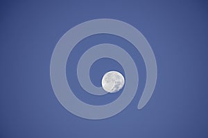 Full moon in daylight On the bright sky