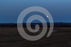 full moon, evening time, moon hovered over the field with the remains of snow, April 2022, Tomsk