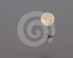 Full Moon Flyaway