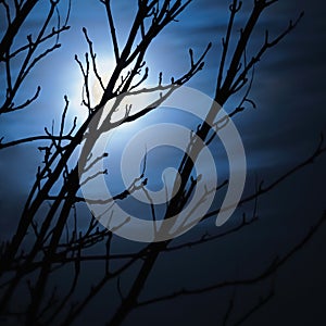 Full moon in foggy dark night, naked leafless trees silhouettes and clouds, halloween theme background, scary moonlight scenery