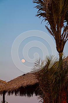 Full Moon in Ilha do Amor