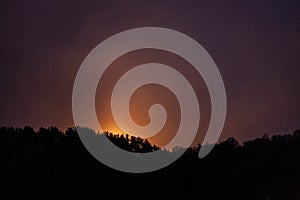 Moon light behind the trees