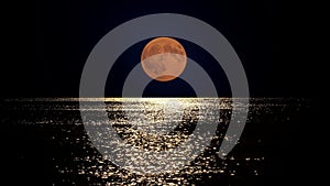 Full moon light reflect in sea water, summer romantic night at seaside