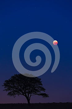 Full moon at lunar eclipse