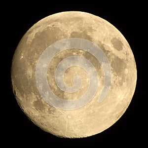 Full Moon. The Moon is an astronomical body that orbits planet Earth, being Earth`s only permanent natural satellite