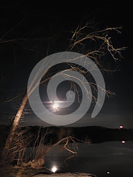 Full moon and moonlight on tree and lake reflecting at dark night evening