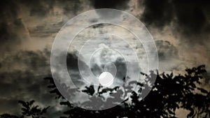 Full Moon Moves in the Night Sky through Dark Clouds and Trees. TimeLapse