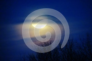 FULL MOON NIGHT EARLY NIGHT