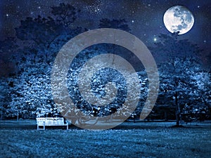 Full moon night in park photo