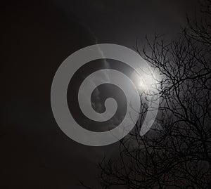 Full moon in night sky with clouds and silhouette of trees.