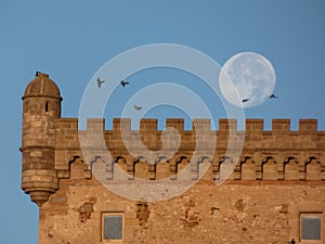 Full moon over the castle